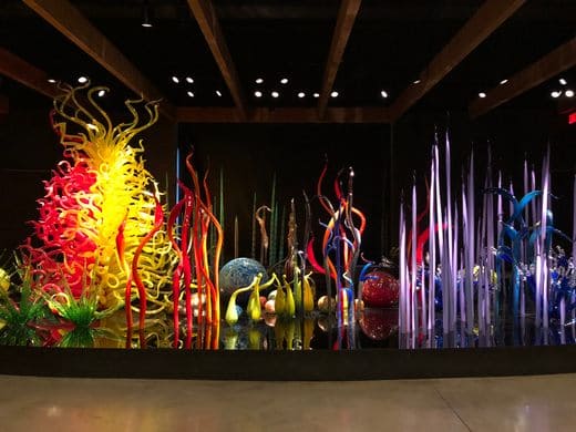 Explora la Colección Chihuly en St. Petersburg, Florida