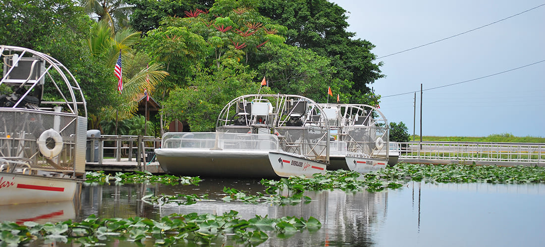 Everglades