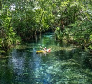 Kayaking o canoas en Florida