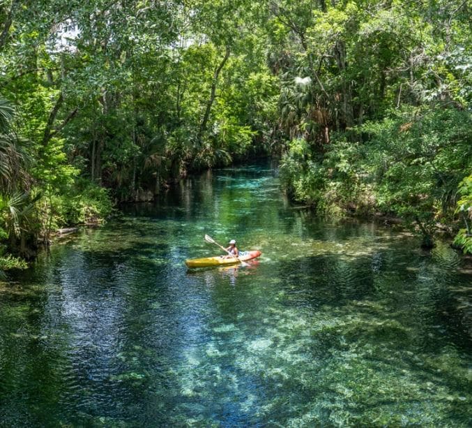 Recorridos en Kayak o Canoas en Florida