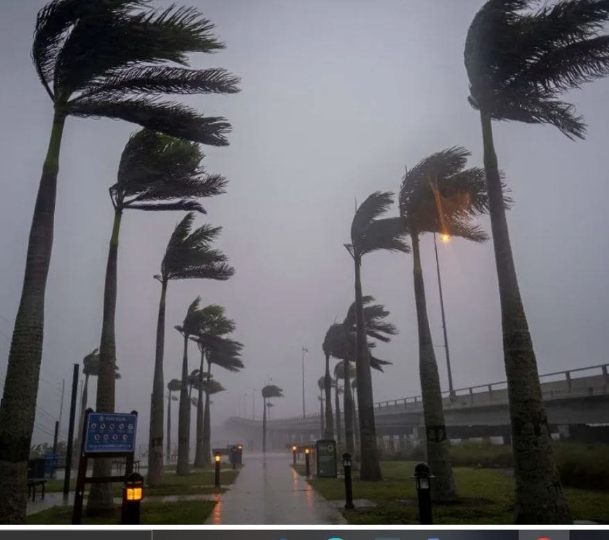 Seguridad en Florida